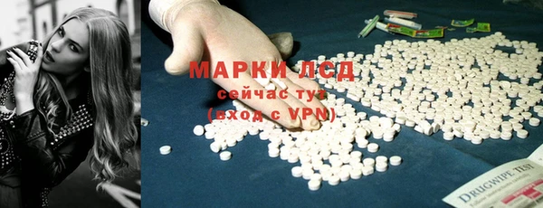 ECSTASY Пересвет