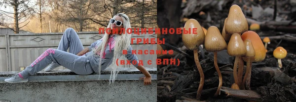 соль ск Пестово