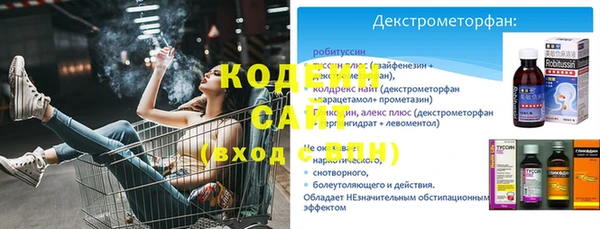 ECSTASY Пересвет
