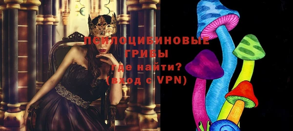 mdpv Арсеньев