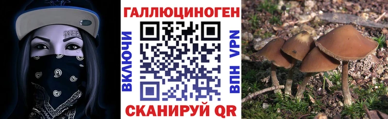 купить закладку  Лагань  Псилоцибиновые грибы Psilocybine cubensis 